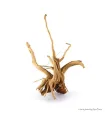 Finger-gyökér nano dekorfa (10-20 cm) (Spiderwood, Red moor) / db