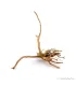Finger-gyökér nano XXS dekorfa (10-15 cm) (Spiderwood, Red moor) / db