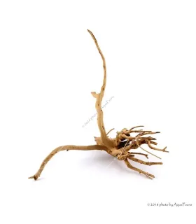 Finger-gyökér nano XXS dekorfa (10-15 cm) (Spiderwood, Red moor) / db