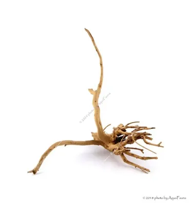 Finger-gyökér nano XXS dekorfa (10-15 cm) (Spiderwood, Red moor) / db