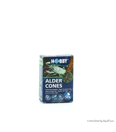 HOBBY Alder Cones - 50 db égertoboz