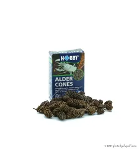 HOBBY Alder Cones - 50 db égertoboz