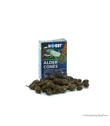 HOBBY Alder Cones - 50 db égertoboz