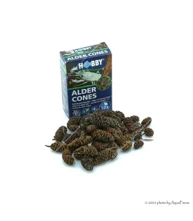 HOBBY Alder Cones - 50 db égertoboz