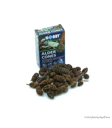 HOBBY Alder Cones - 50 db égertoboz