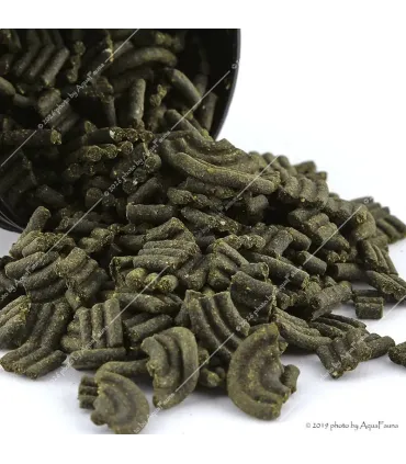 GlasGarten Shrimp Dinner Pads - 35 g