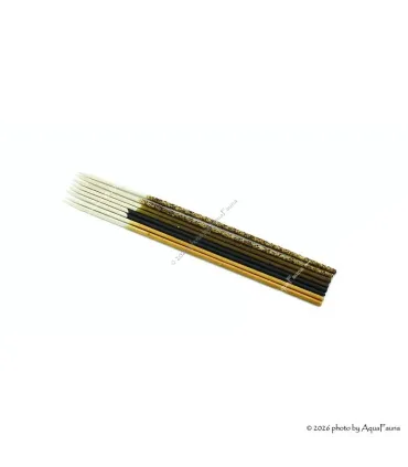 GlasGarten Shrimp Lollies - 4in1 Algae Power - 8 db