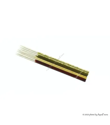 GlasGarten Shrimp Lollies - 4in1 Vegetable Power - 8 db