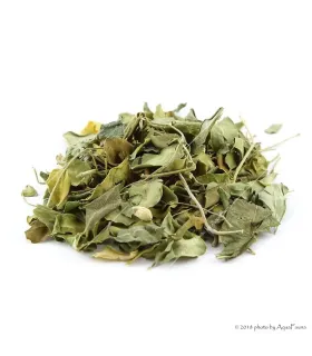 Moringa levél - 5 g
