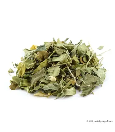 Moringa levél - 5 g