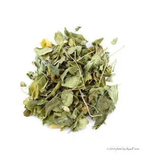 Moringa levél - 5 g