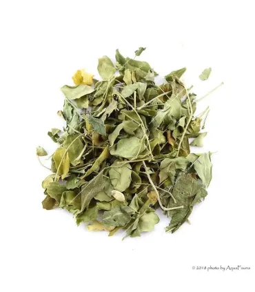 Moringa levél - 5 g