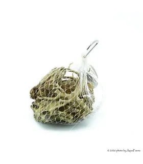 Nano dekoráció - Dragon - Red moor (0,5 kg)