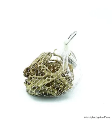 Nano dekoráció - Dragon - Red moor (0,5 kg)