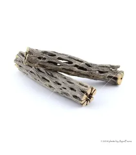 Naturdekor - Cholla kaktusz 6" (Cholla wood) fa dekoráció - 15 cm