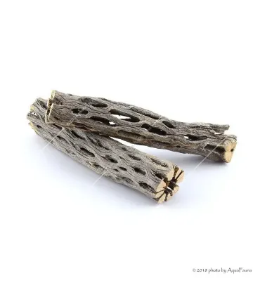 Naturdekor - Cholla kaktusz 6" (Cholla wood) fa dekoráció - 15 cm