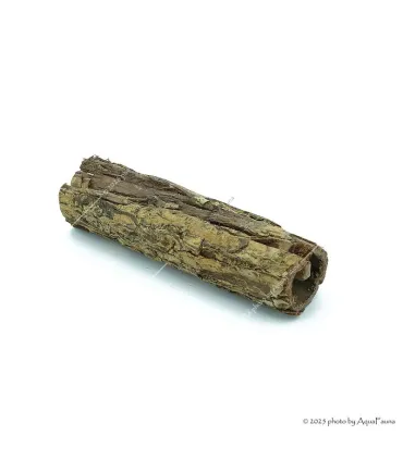Naturdekor - Terminalia catappa bark - Indiai mandulafa kéreg (tebangkéreg) 13-18 cm, Ø3-4 cm / db