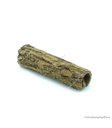 Naturdekor - Terminalia catappa bark - Indiai mandulafa kéreg (tebangkéreg) 13-18 cm, Ø3-4 cm / db