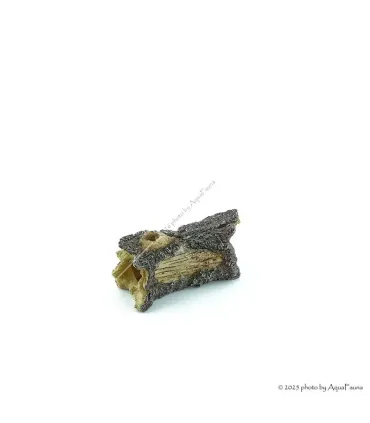 Akvárium dekor - fatörzs (12x7x9 cm)