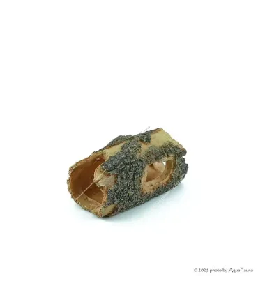 Akvárium dekor - fatörzs (14x9,5x7 cm)