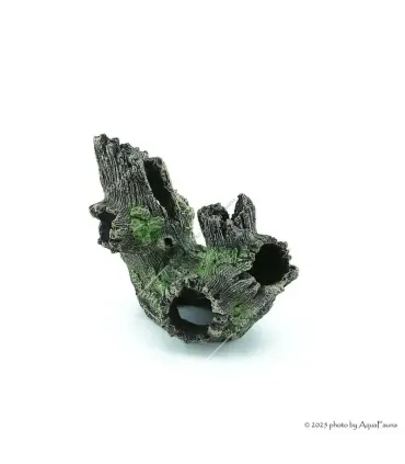 Akvárium dekor - fatörzs - kétágú (16x12x16 cm)