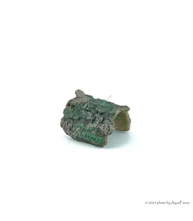 Akvárium dekor - fél fatörzs (11x9x7 cm)