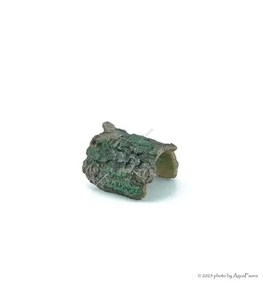 Akvárium dekor - fél fatörzs (11x9x7 cm)