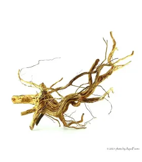 Azalea wood dekorfa (50-60 cm) / kg