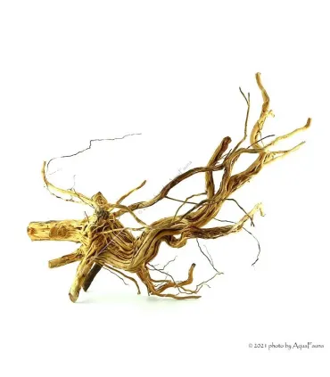 Azalea wood dekorfa (50-60 cm) / kg