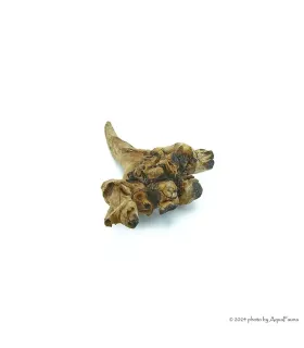 Driftwood dekorfa - small / db (10-15 cm)