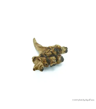 Driftwood dekorfa - small / db (10-15 cm)