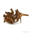 Driftwood dekorfa M 30-60 cm/ Kg