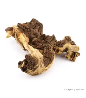 Mopani (vasfa) dekorfa / kg