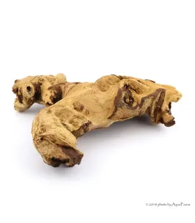 Mopani (vasfa) dekorfa / kg