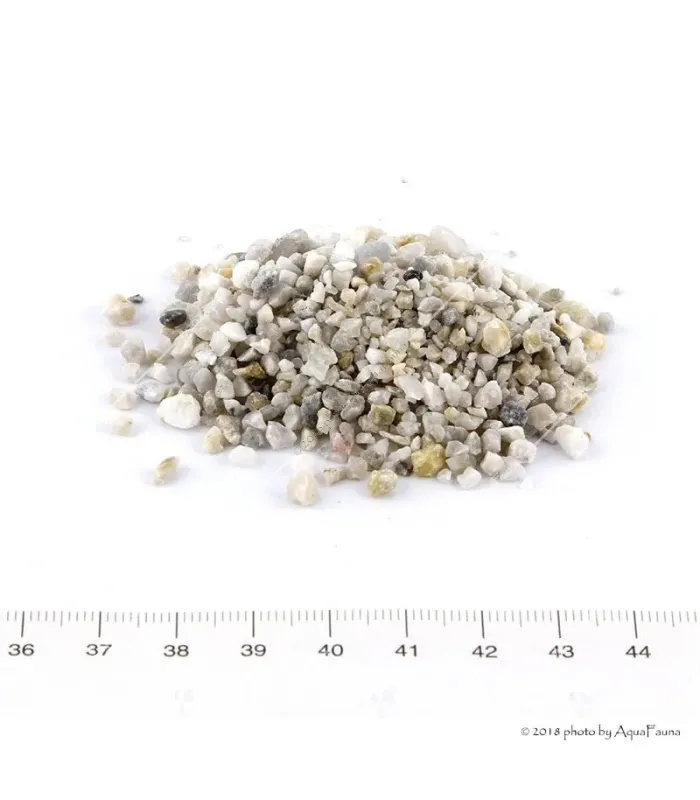 SZAT aljzat P1 gyöngykavics (5 kg) 2-4 mm