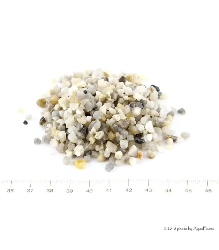 SZAT aljzat P2 gyöngykavics (5 kg) 4-6 mm