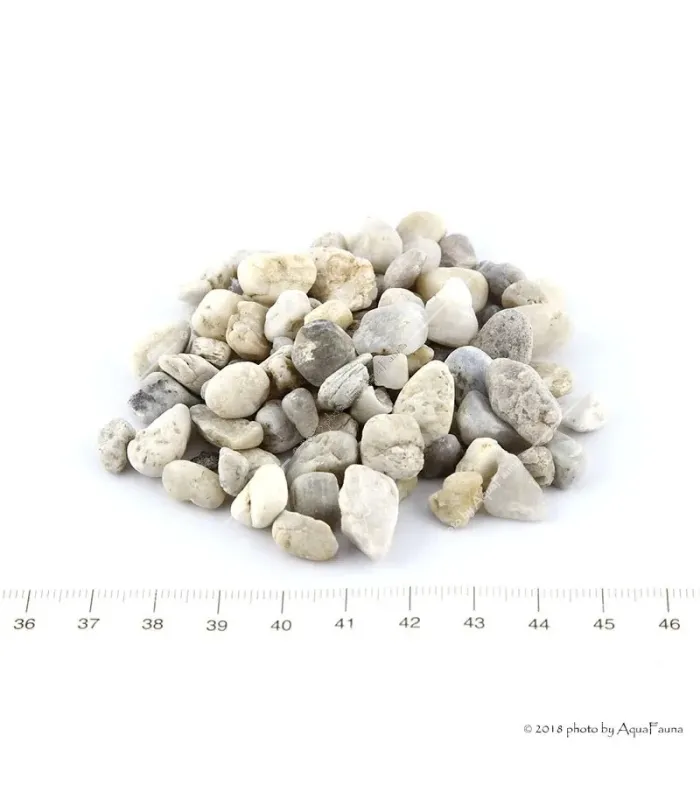 SZAT aljzat P3 gyöngykavics (5 kg) 6-10 mm
