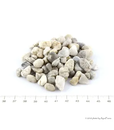 SZAT aljzat P3 gyöngykavics (5 kg) 6-10 mm