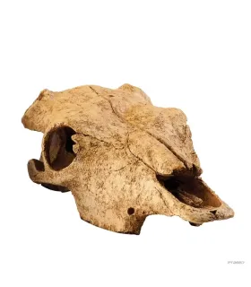 Hagen Exo Terra Buffalo Skull - bölény koponya formájú búvóhely terrariumba (13x9x24 cm)
