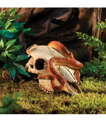 Hagen Exo Terra Buffalo Skull - bölény koponya formájú búvóhely terrariumba (13x9x24 cm)
