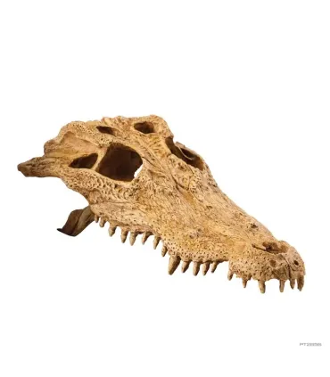 Hagen Exo Terra Crocodile Skull - krokodilkoponya formájú búvóhely hüllők részére (12x22x8 cm)