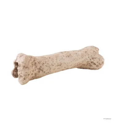 Hagen Exo Terra Dinosaur Bone - Dinoszaurusz csont - bújó hüllők részére (19 cm)