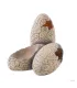 Hagen Exo Terra Dinosaur Eggs Small - Dinoszaurusz tojás bújó hüllők részére (15 cm)