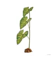 Hagen Exo Terra Dripper Plant Large - Hűllő itató művirág formában