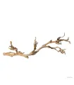 Hagen Exo Terra Forest Branch Sanblasted Grapevine Large - Szőlő mászóágak terráriumba (60 cm)