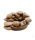 Hagen Exo Terra Frog Pond Large Pebble Water Dish - vizestál békáknak (17X13,5X6 cm)