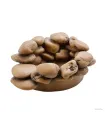 Hagen Exo Terra Frog Pond Large Pebble Water Dish - vizestál békáknak (17X13,5X6 cm)