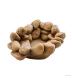 Hagen Exo Terra Frog Pond Small Pebble Water Dish - vizestál békáknak (15x12,5x5,5 cm)