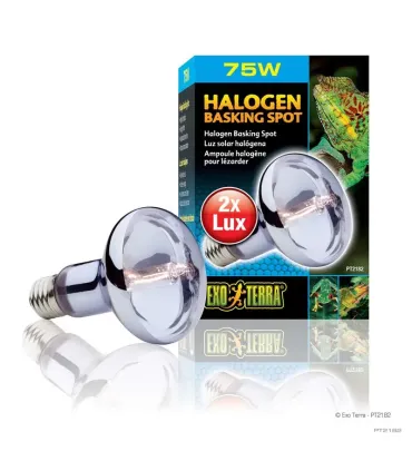 Hagen Exo Terra Halogen Basking Spot 75W (2182)