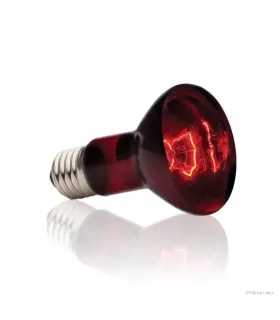 Hagen Exo Terra Infrared Basking Spot 50W (2141)